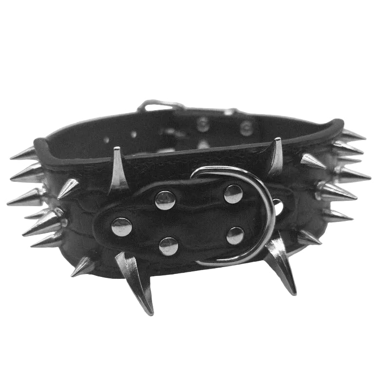 A black leather collar with sharp silver metal spikes and a matching spiked buckle, photographed on a plain light gray background.